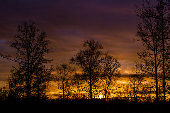 Sunrise