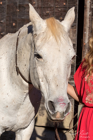 A Girl and Her Horse-0696