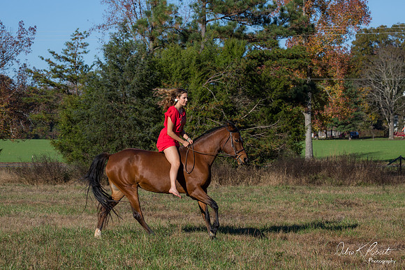 A Girl and Her Horse-0638