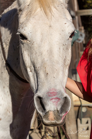 A Girl and Her Horse-0694