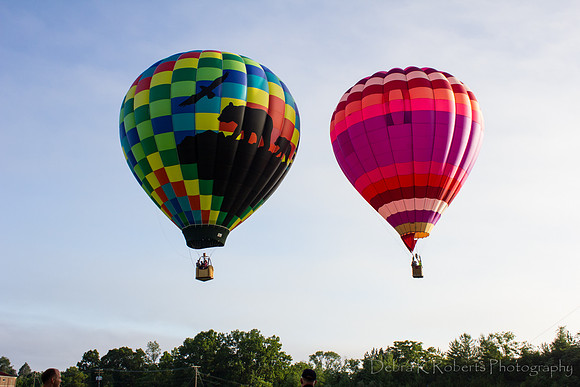 Together We Fly