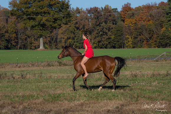 A Girl and Her Horse-0648