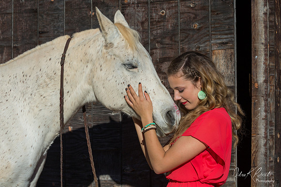 A Girl and Her Horse-0669