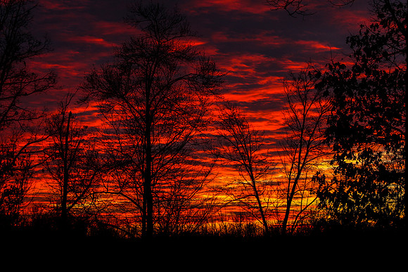 Sunrise