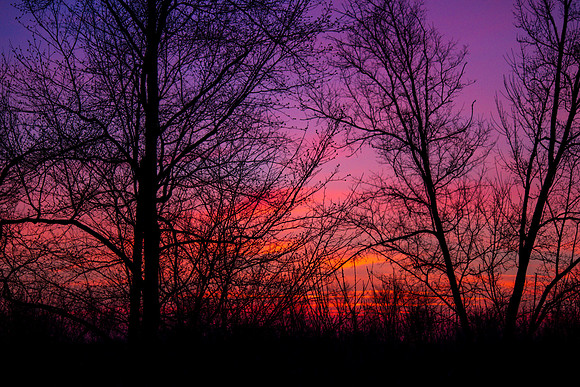 Sunrise