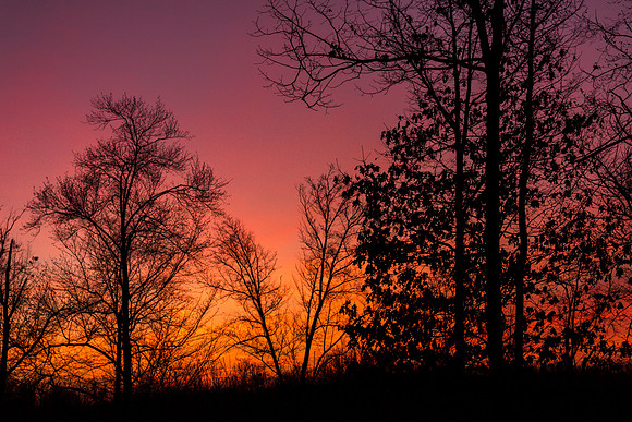 Sunrise