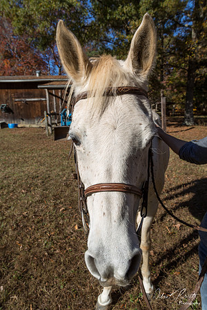 A Girl and Her Horse-0329