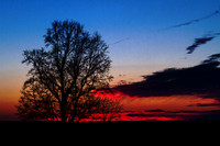 Gum Spring Roadside Sunset