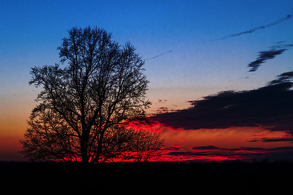 Gum Spring Roadside Sunset