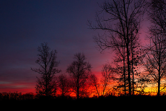 Sunrise